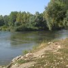 finnek 2011 002